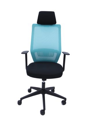 kod BG-01